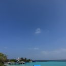 엣지포켓볼클럽 이미지