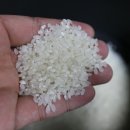 봉학농장 이미지