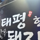 태평한돼지