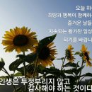 해병대패밀리 6월 30일 건강정보 이미지