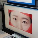 디카사진방 이미지