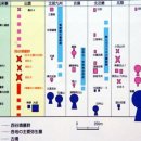 신화토목 | [역사와 지리] 진한지역 해안가에 살던 왜인과 신라인 들이 세운 일본의 이즈모왕국