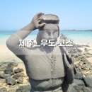 하고수동 탈의장 | [ 제주ㅣ우도 ] 이모, 삼촌네 부부 친척동생까지 6인 가족여행ㅣ2일차ㅣ하우목동항 출발 전기차 빌려서...