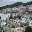 백민약국 이미지