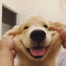 약국산책 이미지