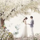엘.오스튜디오