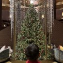 그랜드키친 이미지