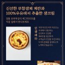 에그트리 이미지