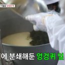 영광애꽃
