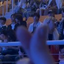 소울도기 | 240809-10 피원하모니 콘서트 다녀왔어요❤️