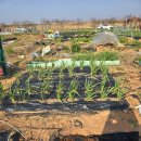 전제인농장 이미지