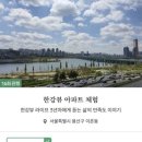 &#39;한강뷰 아파트&#39; 보여 주고 3만8000원…참신한 부업의 세계 이미지