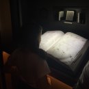 용산-이촌-191 | 국립중앙박물관에서의 폭염 피서: 반가사유상(半跏思惟像)과 외규장각 의궤 관람 후기