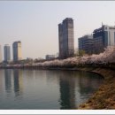 석천 Daum카페