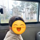 6살 아이가 좋아하는 청라 키즈카페 대형 타이니어스 내돈내산 후기