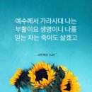 욘가 이미지