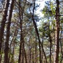 영종하늘도시35호 근린공원 이미지