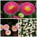 마음의안경 이미지