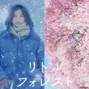 준이치킨 - 26553 | [일본 영화] 리틀 포레스트 겨울과 봄 (リトル フォレスト 冬·春)