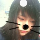 영양여자고등학교 이미지