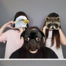 정든엄마손맛 | 2025_6월 일상