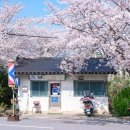 호남이발관 이미지