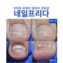 네일프리다 이미지