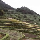 가천암수바위 화장실 | [경상남도 남해군] 가천 다랭이마을 - 전 견종 가능 · 맹견 입마개 · 목줄 착용 · 배변봉투 지참