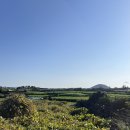 소소링제주 | 제주 동쪽 숙소 소소링ㅣ통창 너머 풍경이 다한 2인 독채