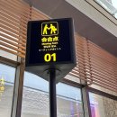 한국피자헛 당산3호점 | 3일 자유여행 1일차 | 자오둥국제공항에서 칭다오하우징인터네셔널 호텔 이동 및 이용 내돈내산 솔직후기