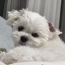 신금산단5길 이미지