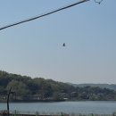 우경축산 이미지