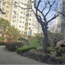 자이부동산합동공인중개사사무소 | 부동산의 기본, 권선동권선자이에서 신뢰할 수 있는 중개 전문가 만나기