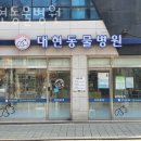 대현동물병원 | 양천구 목동 동물병원 대현동물병원 위치 오는길 후기