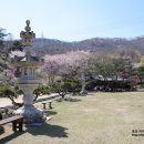 영평BIO