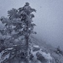 구천동주차장 이미지