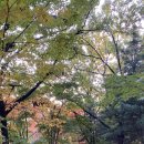 맵시나세탁소 이미지