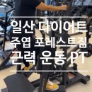 포레스트 다이어트 | 일산 다이어트 운동 헬스 포레스트짐 주엽점 피티 후기