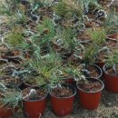 인건농장 이미지