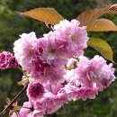 황산공원(황산B) 이미지