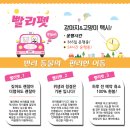 빨리펫 이미지