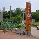 시골밥집 이미지