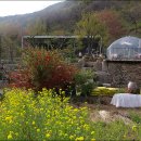 뜨락엔햇살 이미지