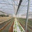 금우농장 이미지