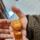 진주익룡발자국전시관 이미지