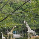 차와 함께 일상으로의 여행 이미지