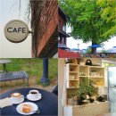 신아교통(주) | 가을 걷기 좋은 덕수궁 돌담길 고종의 길 주차 식당 카페 정보