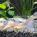 인동38길-3 이미지