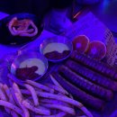 옐로파니탄산바