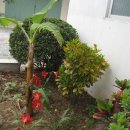 (주)나무 이미지